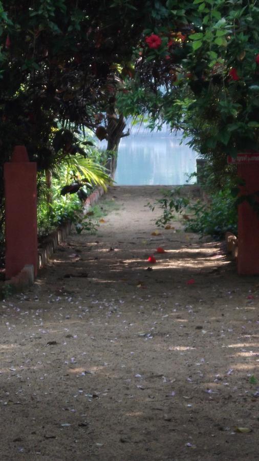Hotel Big Banana Island Retreat North Paravur Exterior foto
